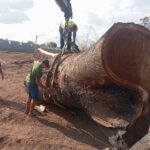 WhatsApp Image 2026-03-09 at 18.19.24