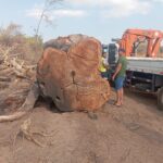 WhatsApp Image 2026-03-09 at 18.19.28